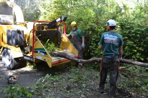 tree services Rio Vista